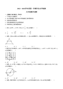 山东省聊城市莘县2022-2023学年九年级上学期期中数学试题(含答案)