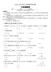 湖南省株洲市渌口区2022-2023学年八年级上学期期末考试数学试题(含答案)