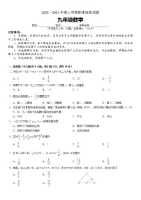 湖南省株洲市渌口区2022-2023学年九年级上学期期末考试数学试题(含答案)