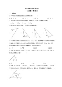 2023年中考数学一轮复习《三角形》课时练习(含答案)
