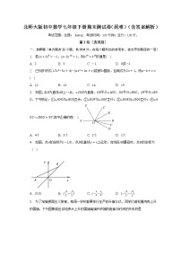 北师大版初中数学七年级下册期末测试卷（困难）（含答案解析）