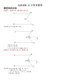 【中考一轮专项复习】2023年中考数学通用版培优专项训练 03 字母M模型（原卷版+解析版）