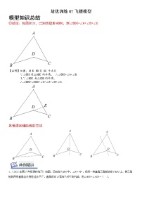 【中考一轮专项复习】2023年中考数学通用版培优专项训练 07  飞镖模型（原卷版+解析版）