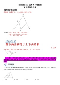 【中考一轮专项复习】2023年中考数学通用版培优专项训练 09 老鹰抓小鸡模型（原卷版+解析版）