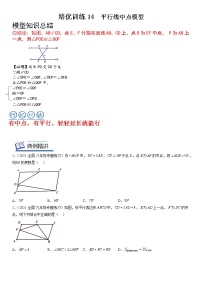 【中考一轮专项复习】2023年中考数学通用版培优专项训练 14 全等三角形 平行线中点模型（原卷版+解析卷）