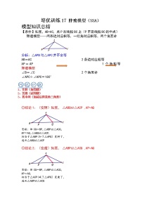 【中考一轮专项复习】2023年中考数学通用版培优专项训练 17 全等三角形 胖瘦模型（SSA）（原卷版+解析卷）