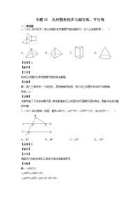 2023年中考数学复习专项专练专题11 几何图形初步与相交线、平行线及答案(四川版)