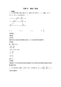 2023年中考数学复习专项专练专题16 相似三角形及答案(四川版)