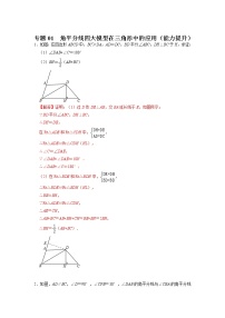 备战2023年中考数学一轮复习 专项训练 专题01  角平分线四大模型在三角形中的应用（能力提升）(含答案)　