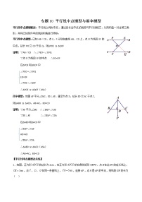 专题10 平行线中点模型与雨伞模型（解析版）