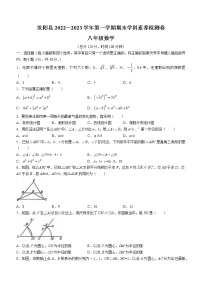 河南省洛阳市汝阳县2022-2023学年八年级上学期期末数学试题（含答案）