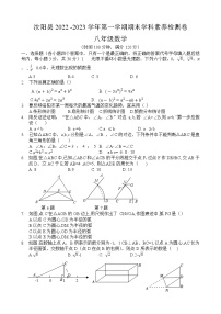 河南省洛阳市汝阳县2022-2023学年上学期八年级期末数学试题（含答案）