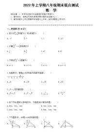 湖南省岳阳市岳阳县三校2022-2023学年八年级上学期期末联合测试数学试题（含答案）