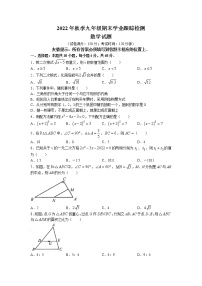 福建省泉州市晋江市2022-2023学年九年级上学期期末数学试卷