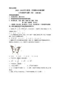 陕西省咸阳市兴平市2022-2023学年八年级上学期期末调研数学试题