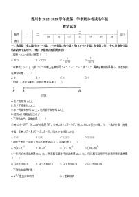 河北省石家庄市晋州市2022-2023学年七年级上学期期末考试数学试题（含答案）