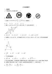 河北省石家庄地区2022-2023学年八年级上学期期末考试数学试题(含答案)