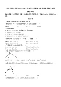 福建省泉州市台商投资区2022-2023学年九年级上学期期末考试数学试题（含答案）