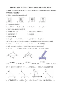 扬州市江都区2022-2023学年八年级上学期期末数学试题（含答案）