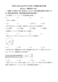 苏州市2022-2023学年九年级上学期期末数学试题（含解析）