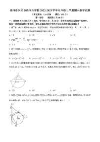 泰州市兴化市西南片学校2022-2023学年九年级上学期期末数学试题（含解析）