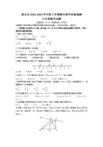 福建省泉州市惠安县2022-2023学年八年级上学期期末数学试题