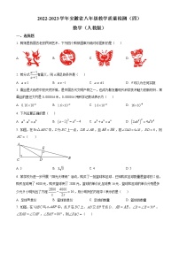 安徽省合肥市2022-2023学年八年级上学期期末数学教学质量检测（含简易答案）