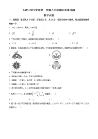 安徽省合肥市蜀山区2022--2023学年八年级上学期数学上学期期末质量检测卷（含简易答案）