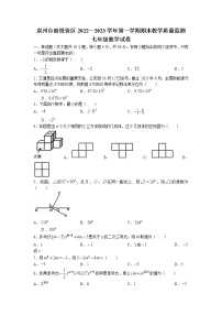 福建省泉州市台商投资区2022—2023学年七年级上学期期末质量监测数学试卷