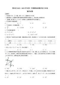 河南省南阳市邓州市2022-2023学年八年级上学期期末数学试题（含答案）