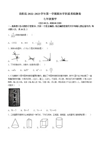 河南省洛阳市汝阳县2022-2023学年七年级上学期期末数学试题（含答案）