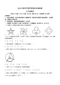 云南省保山市2022-2023学年九年级上学期期末数学试题（含答案）