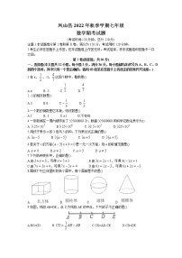 广西河池市凤山县2022-2023学年七年级上学期期末考试数学试题