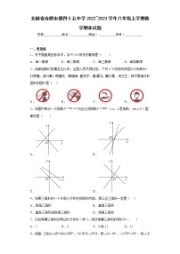 安徽省合肥市第四十五中学2022_2023学年八年级上学期数学期末试题