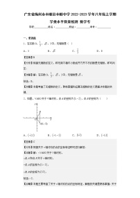 广东省梅州市丰顺县丰顺中学2022-2023学年八年级上学期学业水平质量检测数学考