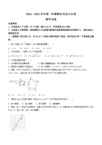 河南省洛阳市嵩县2022-2023学年九年级上学期期末数学试题(含答案)