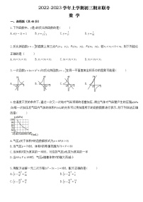 湖南省益阳市安化县江南镇2022-2023学年九年级上学期数学多校联考试题卷(含答案)