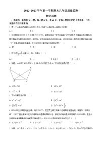 福建省龙岩市岩新罗区2022-2023年八年级上学期期末质量监测数学试卷(含答案)