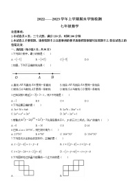 河南省三门峡市渑池县2022-2023学年七年级上学期期末数学试题(含答案)