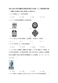 2022-2023学年安徽省合肥市庐阳区九年级（上）期末数学试卷