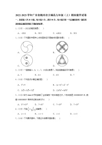 2022-2023学年广东省梅州市大埔县九年级（上）期末数学试卷