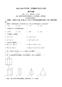 福建省龙岩市上杭县2022-2023学年七年级上学期期末学段水平测试数学试题(含答案)