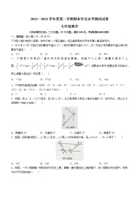 河南省驻马店市遂平县2022-2023学年七年级上学期期末数学试题(含答案)