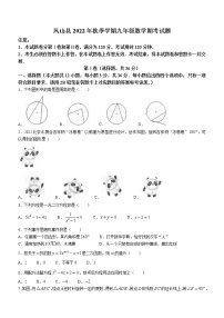 广西壮族自治区河池市凤山县2022-2023学年九年级上学期期末数学试题(含答案)