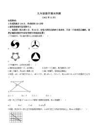 山东省菏泽市定陶区2022-2023学年九年级上学期期末数学试题(含答案)