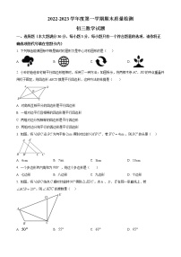 山东省济宁市任城区第十五中学2022-2023学年九年级上学期期末数学试题(含答案)