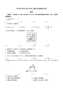 四川省乐山市沐川县2022-2023学年九年级上学期期末数学试题(含答案)