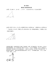 北师大版中考数学第三轮复习 解直角三角形实际应用专项训练（word 无答案）