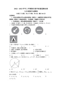 云南省大理白族自治州云龙县2022-2023学年九年级上学期期末数学试题