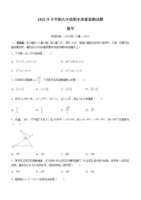 湖南省娄底市新化县2022-2023学年九年级上学期期末质量监测数学试题（含答案）